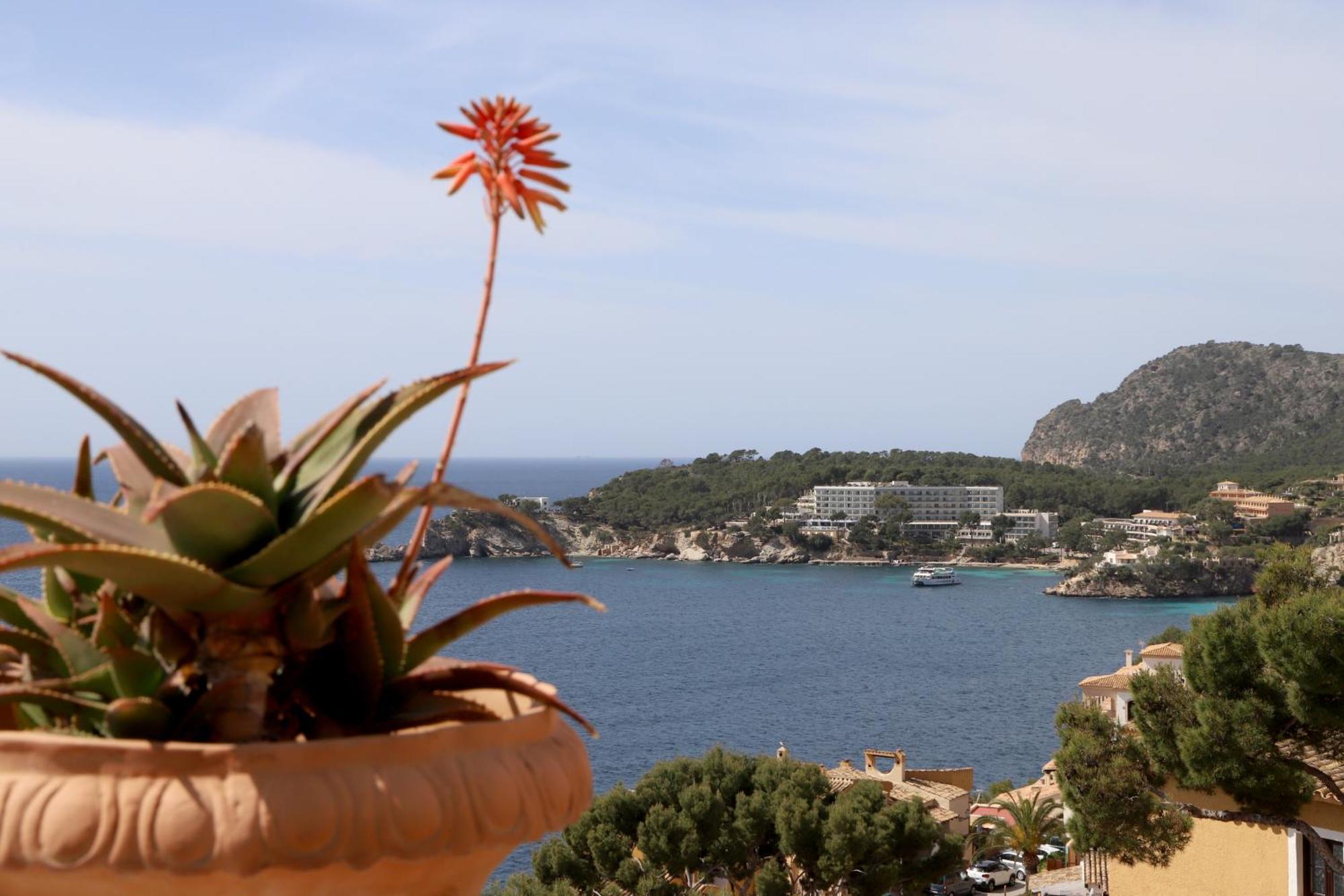 Apartment Aldea 2 Cala Fornells