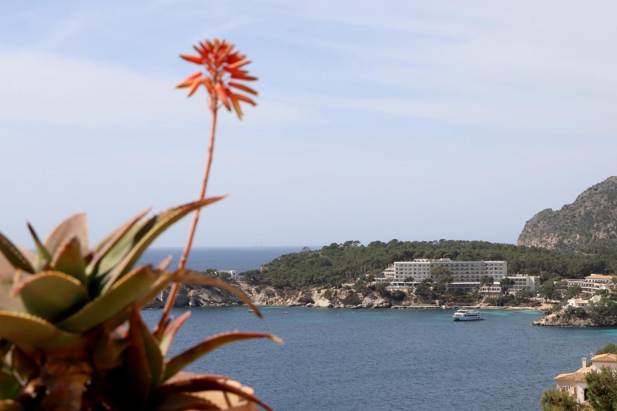Apartment Aldea 2 Cala Fornells Peguera