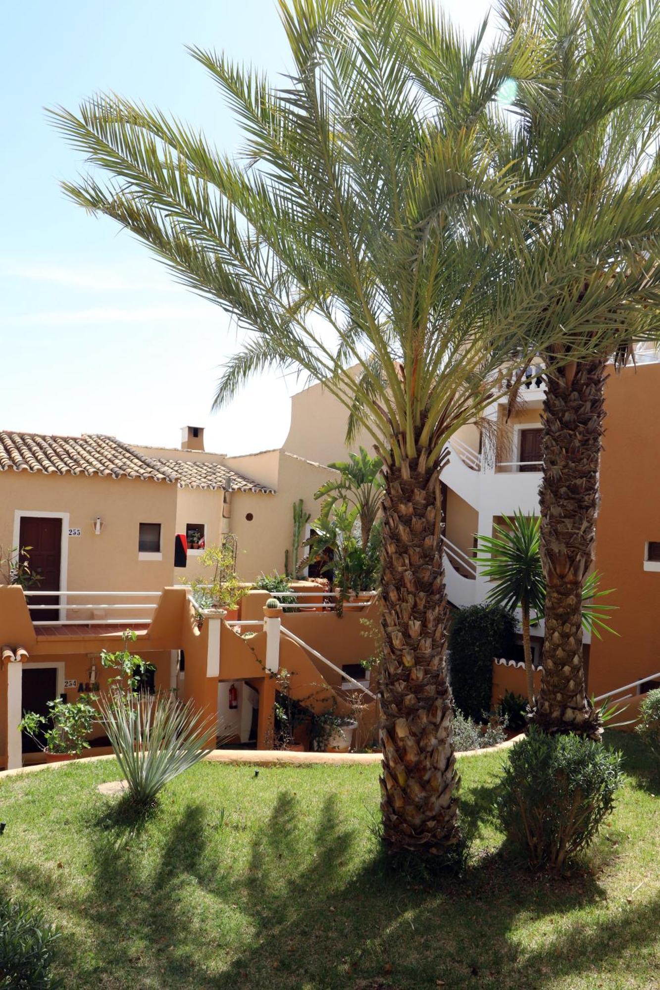Aldea 2 Cala Fornells Appartement Peguera